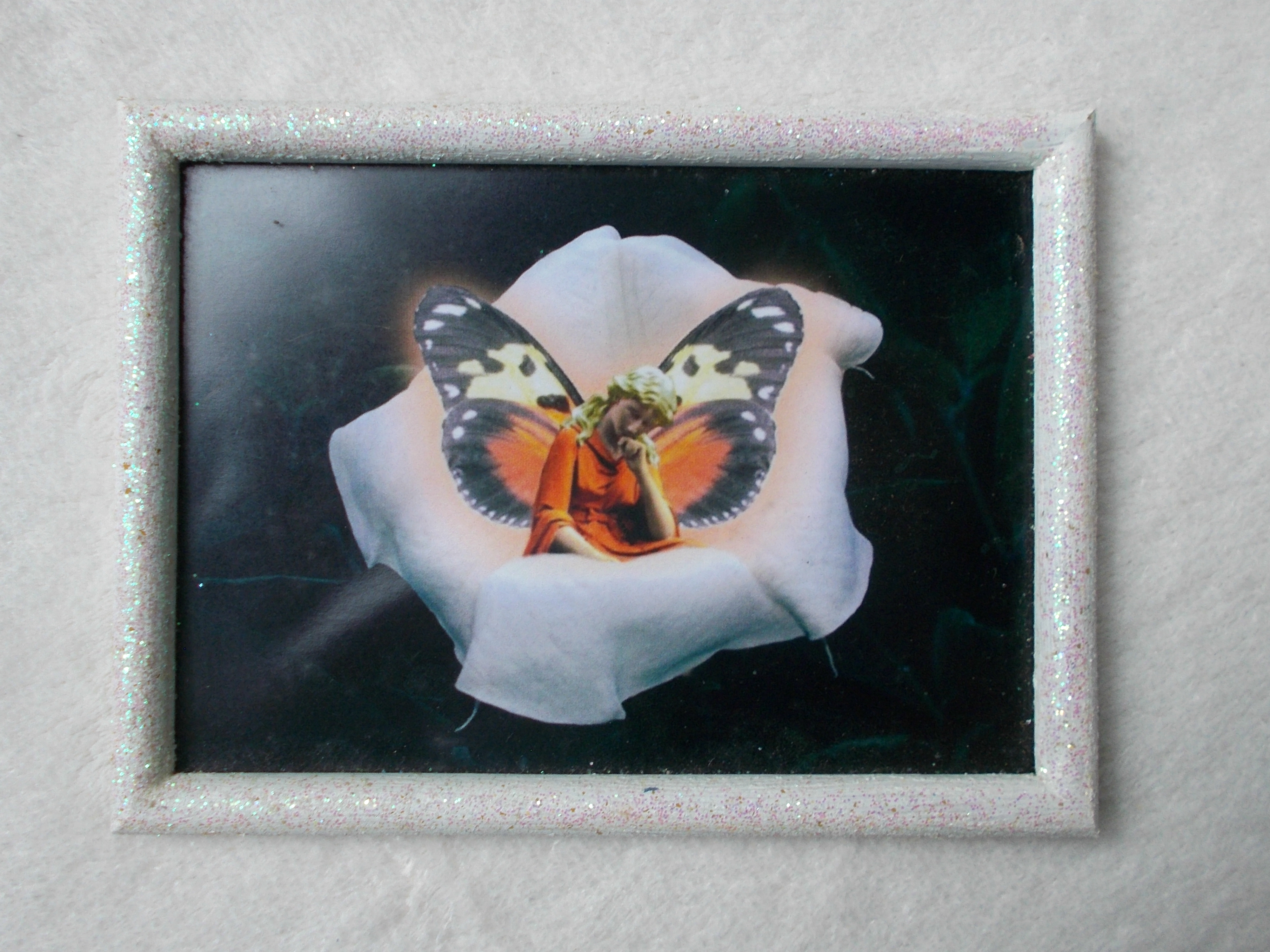 Elfenbild Wickenelfe